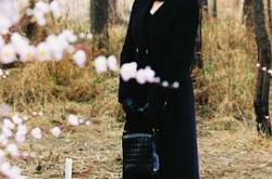 春花秋月2002MP4格式