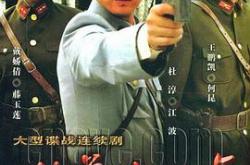 敌营十八年2008MP4格式