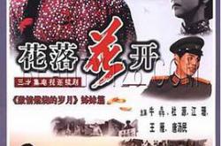 花落花开MP4格式