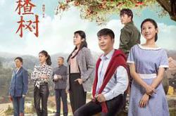 远方的山楂树MP4格式