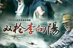 双枪李向阳MP4格式