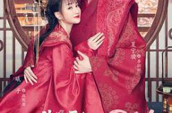 偷心画师MP4格式