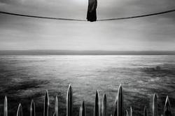 大军师司马懿之军师联盟MP4格式