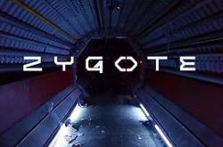 合子异种MP4格式