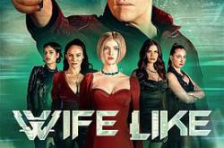 仿生人妻子MP4格式