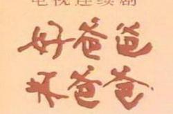 好爸爸，坏爸爸MP4格式