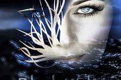 黑色尾流MP4格式