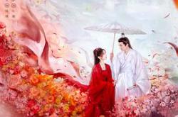 落花时节又逢君MP4格式