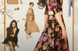 玫瑰的故事MP4格式