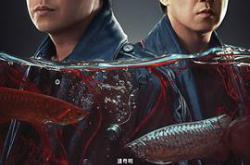 白夜破晓MP4格式