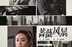 蔷薇风暴MP4格式