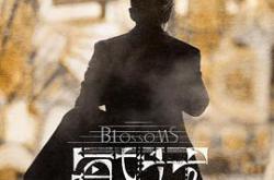 繁花普通话版MP4格式