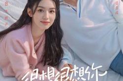 很想很想你MP4格式