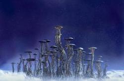 泰若星球英语MP4格式