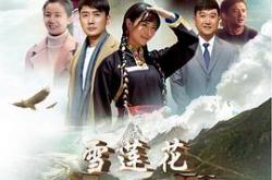 雪莲花盛开的地方MP4格式