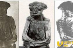 18张诡异恐怖的无法解释照片大盘点 瞬间移动的女子！_灵异鬼话_玛丽人