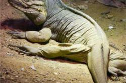 神秘的罗布泊之谜