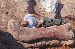 放羊人发现巨骨，众人挖出史前巨兽！