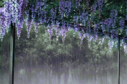 天上下雨竟下出了鱼？原来是这样的