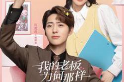 我的老板为何那样MP4格式