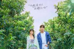 两个人的小森林MP4格式