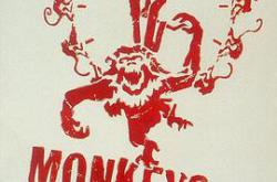 十二猴子MP4格式