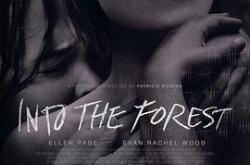 森林深处2015MP4格式