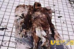 1995年成都僵尸事件大揭秘 僵尸疯狂咬人被火烧？_灵异鬼话玛丽人