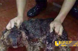 水猴子极有可能真实存在！ 探秘水猴子害人的灵异事件_灵异鬼话玛丽人