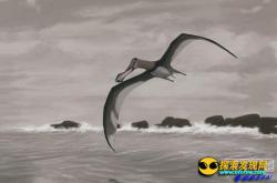 传说中十大恐怖神秘生物：泽西恶魔_灵异鬼话玛丽人