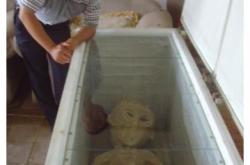 滨州外星人，电死外星人将其放进冰箱保存 -灵异事件