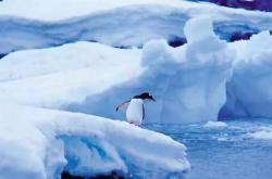 南极和北极哪个冷?今天终于弄明白了 -宇宙探索发现