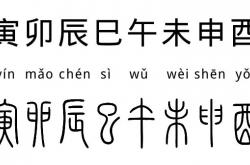 十二地支的拼音读法，十二地支、十二时辰和十二生肖如何对应 -百科