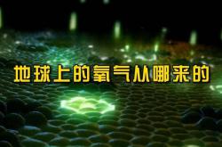地球氧气会耗尽吗，10亿年后再说（人类每年消耗0.001%） -百科