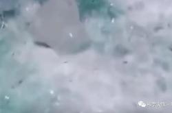 世界上最诡异的冰块，包治百病？其实是蓝冰（飞机上乘客的尿） -百科