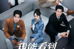 我能看到东西价值，成了富贵花MP4格式