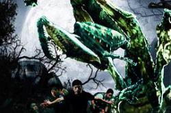 幽灵螳螂MP4格式