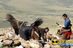 印尼恐怖风俗：挖亲人尸体梳洗打扮_灵异鬼话玛丽人