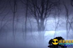 孤魂野鬼游荡的夜晚 惊魂恐怖槐树林_灵异鬼话玛丽人