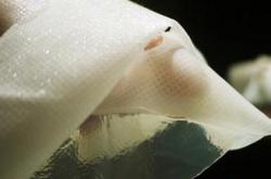 以后用面膜千万小心！恐怖的人皮面膜_灵异鬼话玛丽人