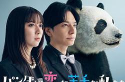 比熊猫更不擅长恋爱的我们MP4格式