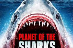 鲨鱼星球MP4格式