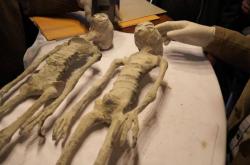 墨西哥国会“外星人尸体”事件（有图片）