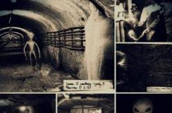 1979年道西事件是否真实存在？美国人和外星人激烈交战，结局惨不忍睹