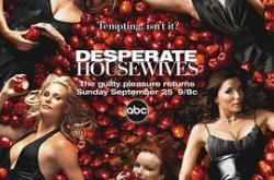 绝望主妇 第二季MP4格式