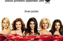 绝望主妇 第五季MP4格式