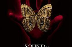 一声惊雷MP4格式