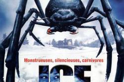 冰冻蜘蛛MP4格式