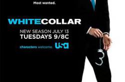 妙警贼探  第二季MP4格式