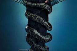 豪斯医生  第六季MP4格式